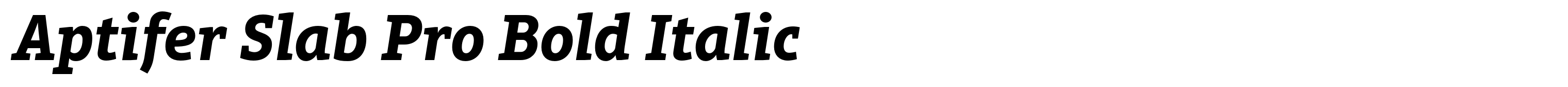 Aptifer Slab Pro Bold Italic